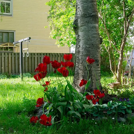 Large 3-room In A Historic House Апартаменты *