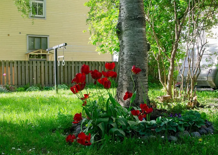 Large 3-room In A Historic House Korter *