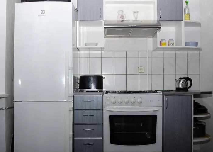 Large 3-room In A Historic House Apartmán *